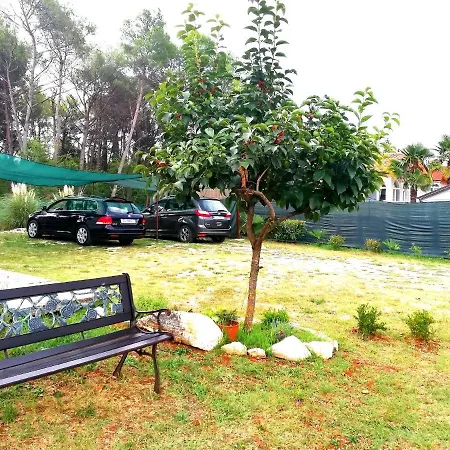 Pampas Studio, Self Check-in *