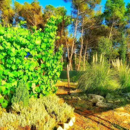 Pampas Studio, Self Check-in, Private Parking * פורץ