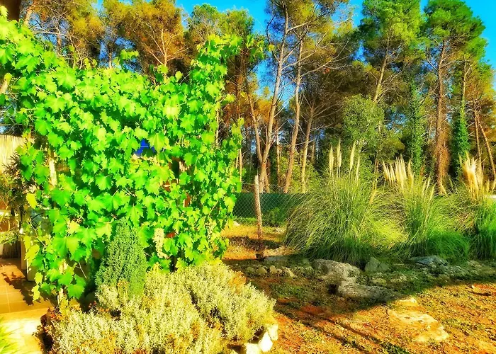 Pampas Studio, Self Check-in * Poreč